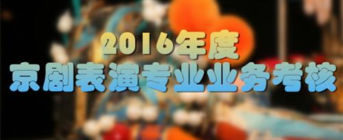 插鸡视频免费网站入口国家京剧院2016年度京剧表演专业业务考...